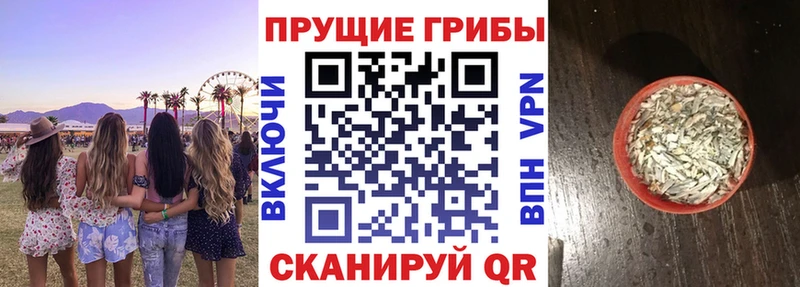 Галлюциногенные грибы GOLDEN TEACHER  купить наркотик  Новочебоксарск 